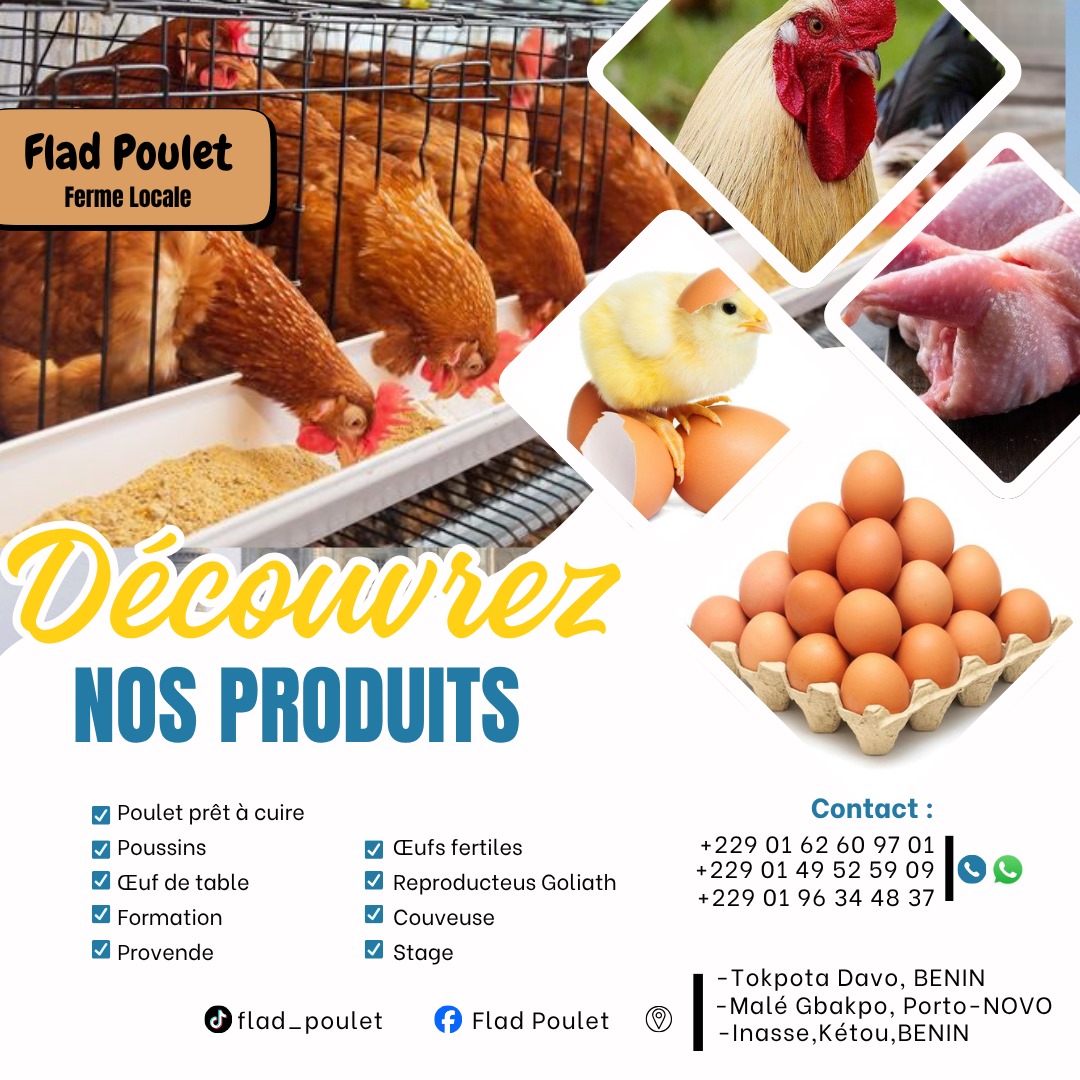 Goliath tout âge disponible